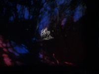 ZUR instantane angers -96628